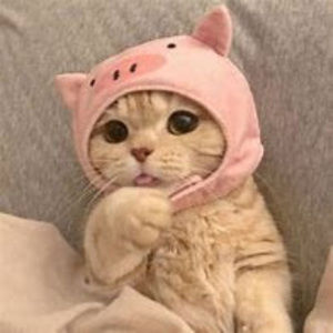 Meet your Posher, Gwen